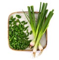 Spring onion Royalty Free Stock Photo