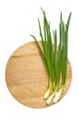 Spring onion Royalty Free Stock Photo