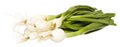 Spring Onion Royalty Free Stock Photo