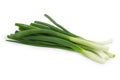 Spring onion Royalty Free Stock Photo