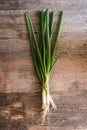 Spring onion Royalty Free Stock Photo
