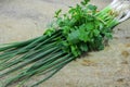 Spring Onion and coriander