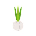 Spring onion, flat icon