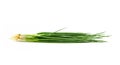 Spring Onion isolated on white background Royalty Free Stock Photo