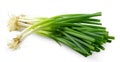 Spring onion isolated on white