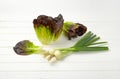 Spring onion and lettuce Royalty Free Stock Photo