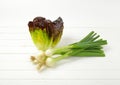 Spring onion and lettuce Royalty Free Stock Photo