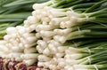 Spring onion on sale