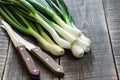 Spring onion Royalty Free Stock Photo