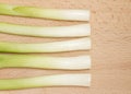 Spring onions Royalty Free Stock Photo