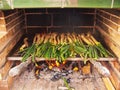 Spring onions on the barbecue Royalty Free Stock Photo