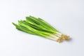 Spring onions Royalty Free Stock Photo