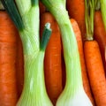 Spring onions and carrots detail