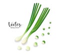 Spring onions fresh and spring onions shredded, design isolated on white background