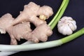 Spring onions. Ginger. Garlic. Royalty Free Stock Photo