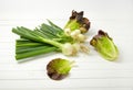 Spring onions and lettuce Royalty Free Stock Photo