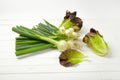 Spring onions and lettuce Royalty Free Stock Photo