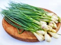 Fresh spring onion with a small onion bulb at the base. Royalty Free Stock Photo