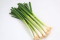 Spring onions Royalty Free Stock Photo