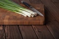 Spring onions still life Royalty Free Stock Photo