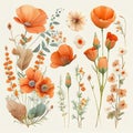 spring orange flowers clipart, vintage watercolor . Ai Generative