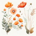 spring orange flowers clipart, vintage watercolor . Ai Generative