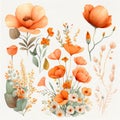 spring orange flowers clipart, vintage watercolor . Ai Generative