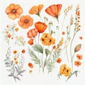 spring orange flowers clipart, vintage watercolor . Ai Generative