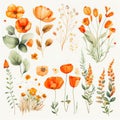 spring orange flowers clipart, vintage watercolor . Ai Generative