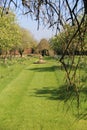 Spring In The Orchard At Lytes Cary, Somerset, UK