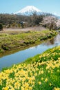 Spring of Oshino Hakkai countryside village and Fuji Mountain in Yamanashi, Japan Royalty Free Stock Photo