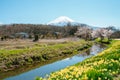 Spring of Oshino Hakkai countryside village and Fuji Mountain in Yamanashi, Japan Royalty Free Stock Photo
