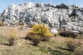 Spring Palava mountains with meadow, flowering plants, rocks and clear sky in Czech republic