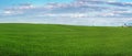 Spring panorama of hills with winter crops and sky Royalty Free Stock Photo