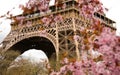 Spring in Paris Royalty Free Stock Photo