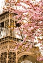 Spring in Paris Royalty Free Stock Photo