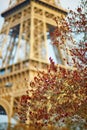 Spring in Paris Royalty Free Stock Photo