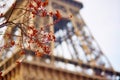 Spring in Paris Royalty Free Stock Photo