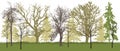 Spring park bare trees silhouette. Vector illustration Royalty Free Stock Photo