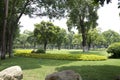 Spring park in Guangzhou Ersha Island China Asia