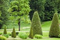 Spring Park with lawn with conical junipers Royalty Free Stock Photo
