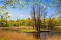 Spring in park, in Lomonosov