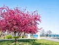 Spring park with sea view in Burgas, Bulgaria