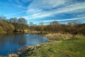 Spring in the parks and forests of Europe Royalty Free Stock Photo