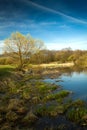 Spring in the parks and forests of Europe Royalty Free Stock Photo