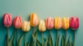 Spring pastel colours tulip flowers on retro green colour background