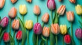 Spring pastel colours tulip flowers on retro green colour background