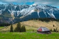 Spring pasture landscape with snowy mountains in background, Transylvania, Romania Royalty Free Stock Photo