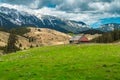 Spring pasture scenery with snowy mountains in background, Transylvania, Romania Royalty Free Stock Photo