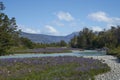 Spring in Patagonia along the Carretera Austral Royalty Free Stock Photo